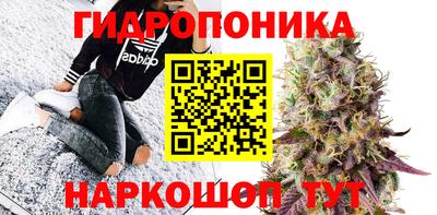 экстази Можга