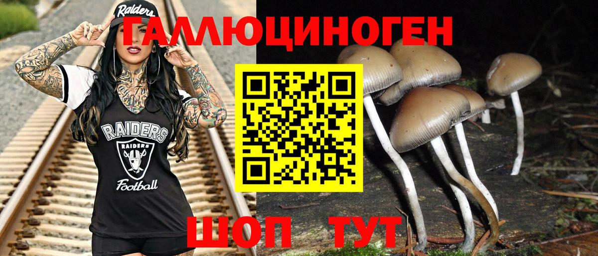 Галлюциногенные грибы Psilocybine cubensis Чебаркуль